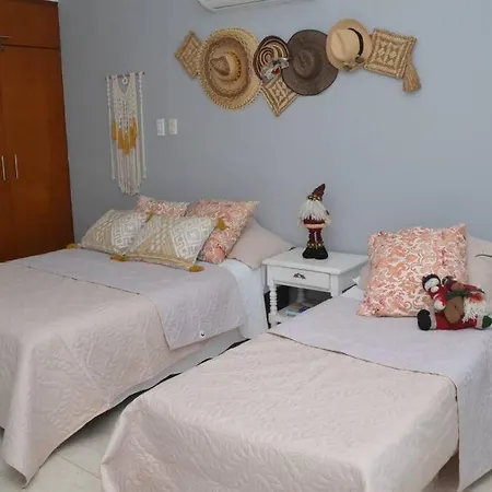 Apartamento Con Hermosa Vista